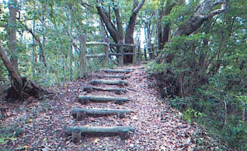長南町笠森霊園周辺の見どころ紹介「首都圏自然歩道(関東ふれあいの道)」